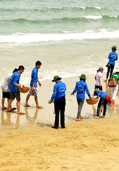 Khoảng 1.000 người tham gia dọn vệ sinh tại Bà Rịa - Vũng Tàu