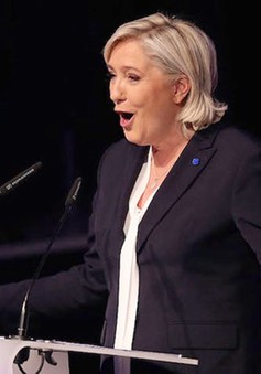 Cảnh sát bắt giữ nghi can tấn công trang mạng của ƯCV Marine Le Pen