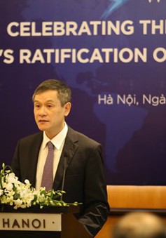 Việt Nam đóng vai trò quan trọng thúc đẩy tôn trọng luật nhân đạo quốc tế