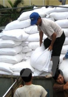 Philippines sẽ thay đổi cơ chế nhập khẩu gạo