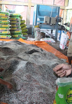 Lâm Đồng: Bắt quả tang một cơ sở sản xuất phân bón giả
