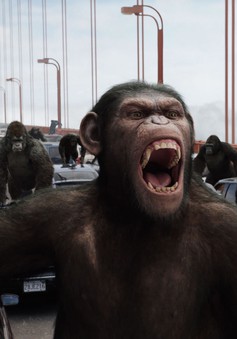 Đại chiến hành tinh khỉ - Bom tấn cảnh tỉnh con người về nguy cơ tận diệt