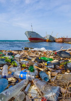 Vùng biển Bắc Cực ô nhiễm nặng vì rác thải nhựa