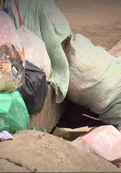 Chậm thu gom rác tại TP.HCM: Nguyên nhân và giải pháp