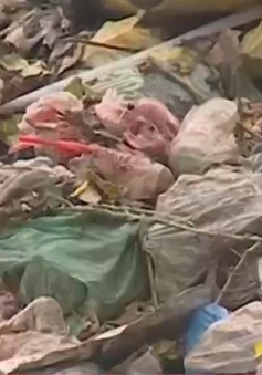 Hà Nội: Phát hiện xe tải chở hàng chục tấn rác đổ trộm ra khu dân cư