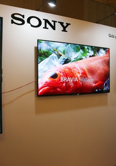 Sony trình làng màn hình chuyên dụng LED 4K tại Việt Nam