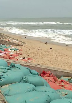 Quảng Bình: Sạt lở đê kè chắn sóng, người dân sống trong lo lắng