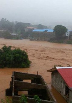 Sierra Leone khẩn trương cứu hộ nạn nhân vụ lở bùn kinh hoàng