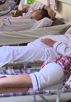 Xấp xỉ 8.000 người mắc sốt xuất huyết, Hà Nội quá tải bệnh nhân