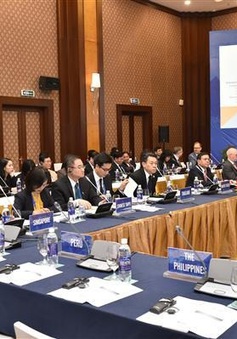 Hợp tác APEC nhằm ngăn chặn trốn thuế và chuyển lợi nhuận