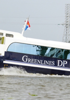 Đề xuất mở tuyến vận chuyển hành khách đường biển Cần Giờ - Vũng Tàu