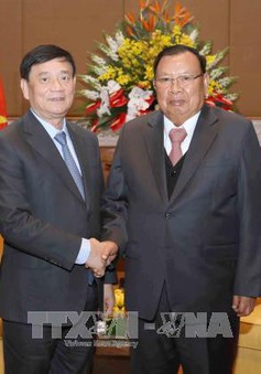 Tổng Bí thư, Chủ tịch nước Lào tiếp Đoàn đại biểu Hội Hữu nghị Việt Nam – Lào