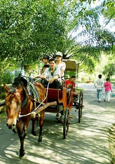 Trải nghiệm du lịch xe ngựa trên đất Tiền Giang