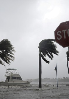 Siêu bão Irma, Harvey có thể "thổi bay" gần 300 tỷ USD của nước Mỹ