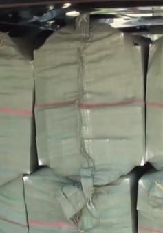 Thu giữ 12.000 gói thuốc lá ngoại nhập lậu tại Long An