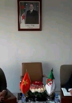 Tăng cường hợp tác Việt Nam - Algeria