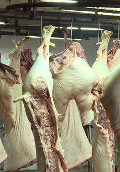Thịt lợn không có thông tin truy xuất vẫn được vào chợ đầu mối ở TP.HCM