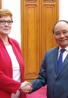 Thủ tướng tiếp Bộ trưởng Bộ Quốc phòng Australia