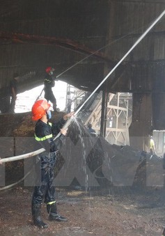 Cháy công ty gỗ tại Bình Phước, thiệt hại khoảng 1 tỷ đồng