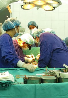 Số ca được ghép tạng tại Việt Nam đang tăng nhanh