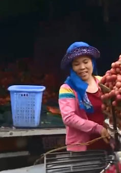 Chinh phục các thị trường khó tính, trái vải Việt Nam hết lo về đầu ra