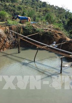 Vỡ đập chứa bùn thải ở Nghệ An: Do hành lang thoát lũ gia cố bằng đất