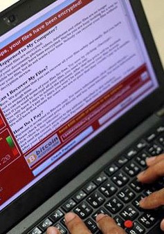 90% máy tính ở Việt Nam sử dụng phần mềm không bản quyền