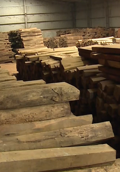Công ước CITES làm khó doanh nghiệp xuất khẩu gỗ