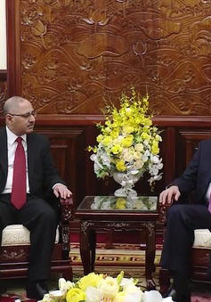 Chủ tịch nước Trần Đại Quang tiếp Đại sứ Ai Cập chào kết thúc nhiệm kỳ