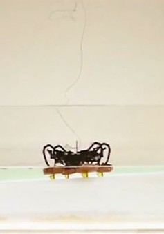 Robot đổ bộ có thể đi bộ và bơi trong nước