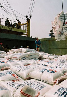 Việt Nam trúng thầu bán 29.000 tấn gạo cho Philippines