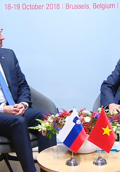 Việt Nam và Slovenia nhất trí thúc đẩy quan hệ hợp tác song phương