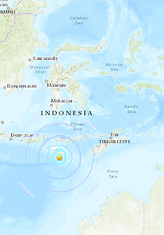 Động đất liên tiếp ở khu vực đảo Sumba của Indonesia