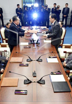 Hàn Quốc - Triều Tiên đẩy mạnh hợp tác về lâm nghiệp và đường sắt