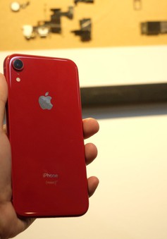 Cận cảnh chiếc iPhone XR bán với giá 22,99 triệu đồng tại Việt Nam