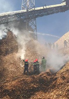 Cháy tại Nhà máy chế biến dăm gỗ Cát Phú Cam Ranh
