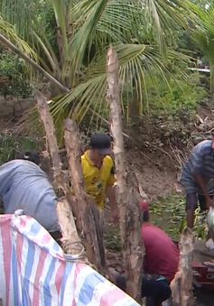Vỡ đê bao ở các xã cù lao Vĩnh Long, nhiều nhà dân chìm trong nước