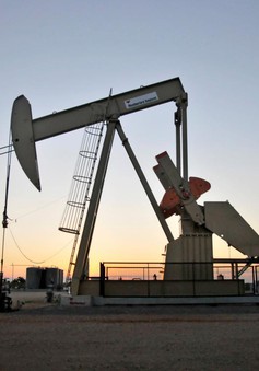 Giá dầu thế giới phục hồi nhẹ