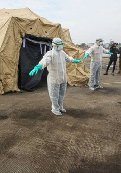 WHO lo ngại về tình hình lây nhiễm Ebola ở CHDC Congo