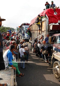Người di cư El Salvador tìm cách tiến đến Mỹ
