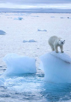 Băng tan khiến mỗi giây có tới 14.000 tấn nước Bắc Cực đổ ra biển