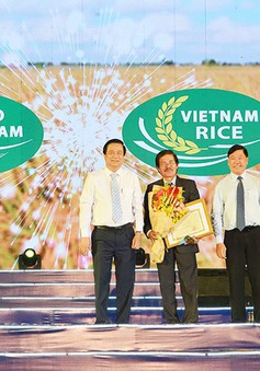 Vĩnh Long sẽ đăng cai Festival Lúa gạo Việt Nam 2019