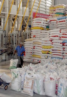 Năm 2018, dự kiến Việt Nam xuất khẩu 6,15 triệu tấn gạo, đạt kim ngạch 3,15 tỷ USD