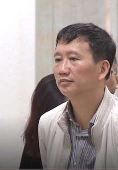 Bị cáo Trịnh Xuân Thanh tiếp tục bị tuyên phạt án tù chung thân