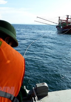 Lai dắt an toàn tàu cá cùng 4 ngư dân gặp nạn trên biển Bình Định