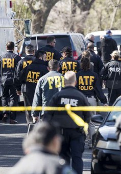 Liên tiếp các vụ nổ bưu kiện gây chết người tại Texas, Mỹ