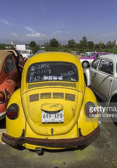 Ngắm bản độ xuất sắc của Volkswagen Beetle cổ điển