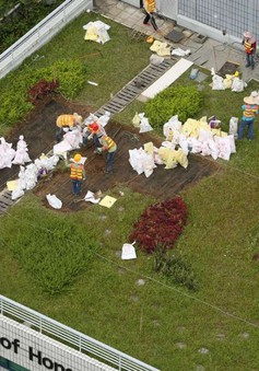 Tạo ra hạnh phúc với việc trồng rau trên mái nhà ở Hong Kong, Trung Quốc