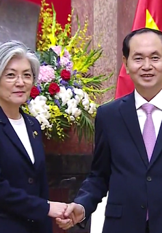 Chủ tịch nước Trần Đại Quang tiếp Bộ trưởng Bộ Ngoại giao Hàn Quốc