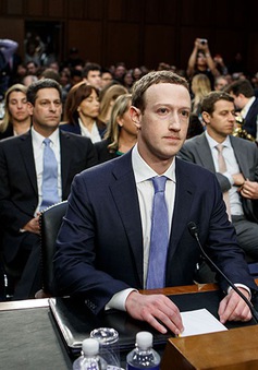 CEO Facebook Mark Zuckerberg khẳng định không từ chức